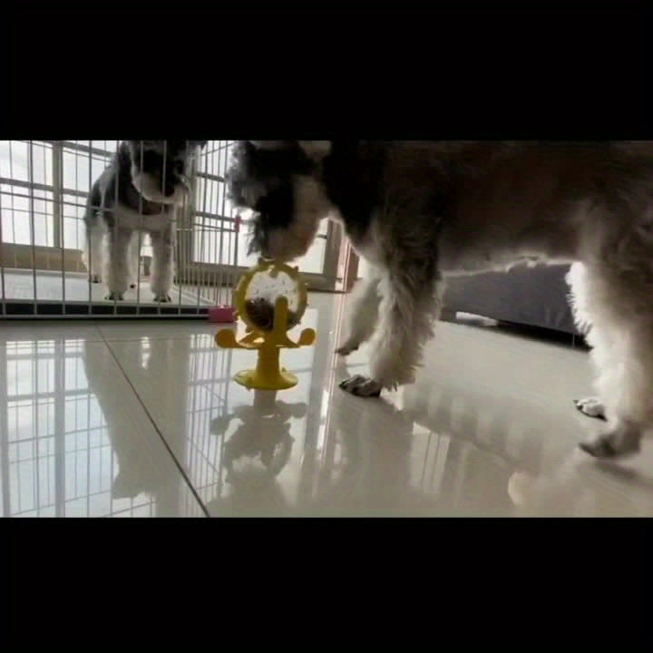 Slow Feeder Interactive Pet Toy
